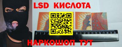 шишки Жуковский