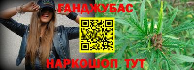 шишки Жуковский