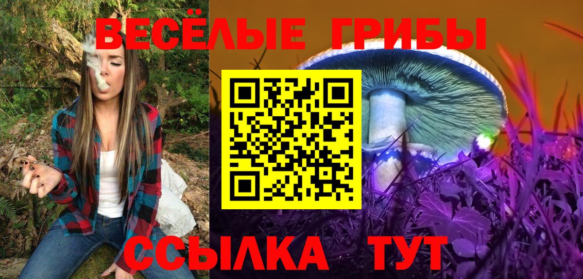 Галлюциногенные грибы Cubensis Клинцы