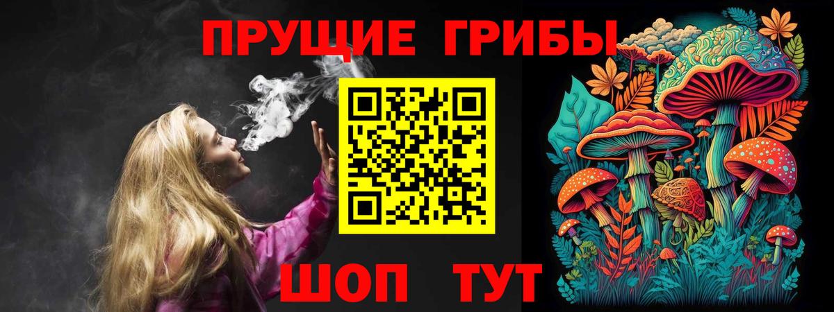 Псилоцибиновые грибы GOLDEN TEACHER  Вход с VPN  Клинцы 